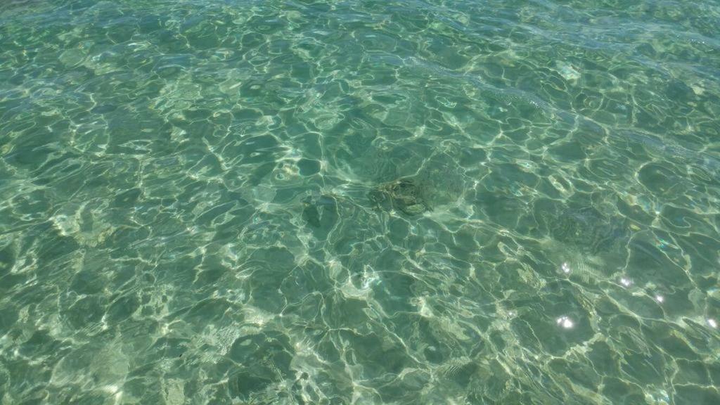 Sweet Home & Apartments Fontane Bianche Εξωτερικό φωτογραφία